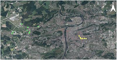 Urbanization Negatively Affects the Species Composition of Native Ladybirds in Central Europe